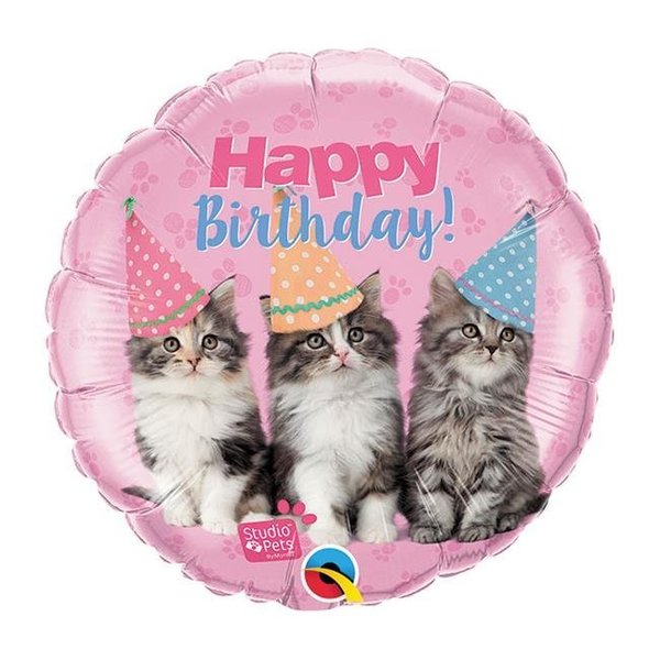 Mayflower Distributing Qualatex 91773 18 in. Studio Pets Happy Birthday Kittens Flat Foil Balloon 91773